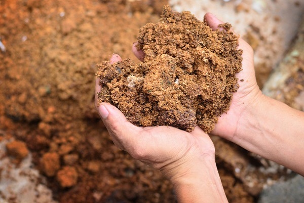 Mulching