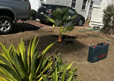 Reliable Backyard Landscaping