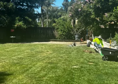 Reliable Landscaping Contractor