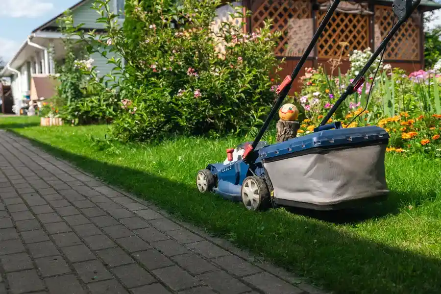 Affordable Landscaping Maintenance Vacaville, CA Affordable Landscaping Maintenance Vacaville, CA