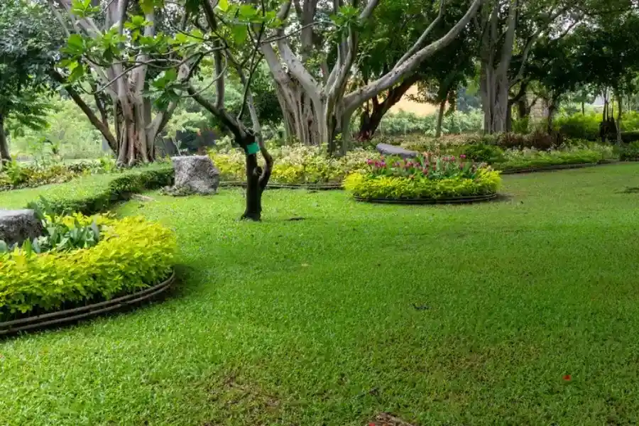 Reliable Landscaping Maintenance Vacaville, CA Reliable Landscaping Maintenance Vacaville, CA