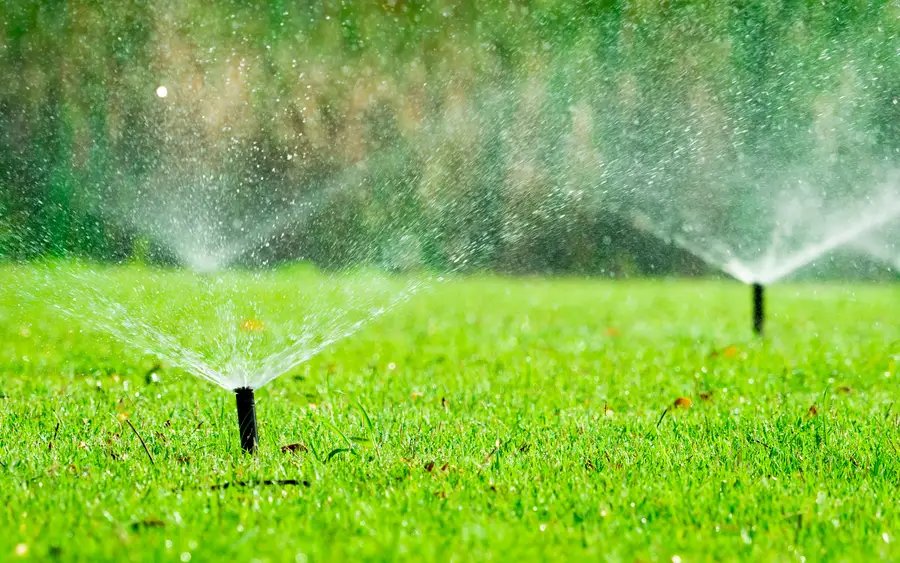 The Role Of Irrigation Installation In Promoting Healthy Plants Vacaville, CA The Role Of Irrigation Installation In Promoting Healthy Plants Vacaville, CA